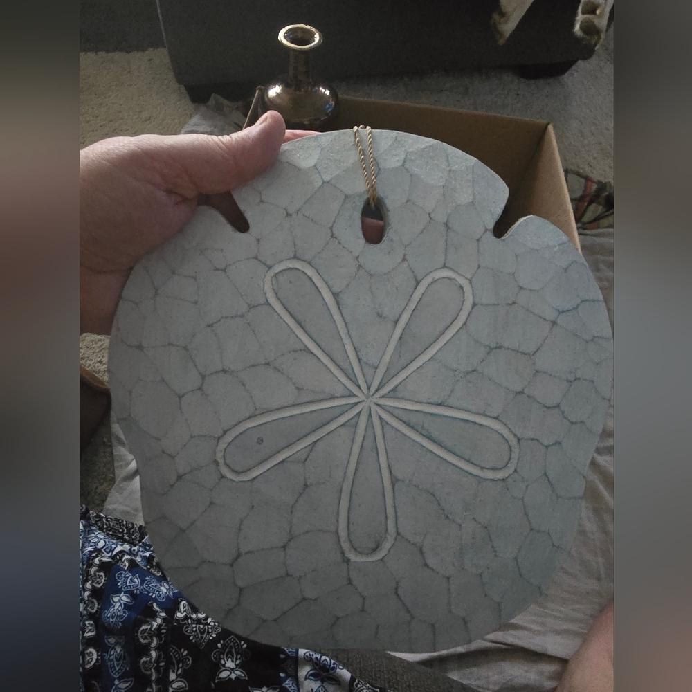 T.I. Design Decorative Sand Dollar Wall Hanging